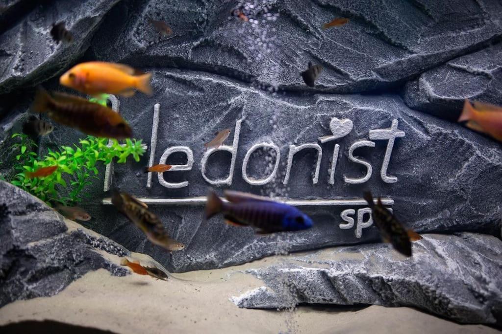 Hedonist-Belgrade Central Nest Екстериор снимка